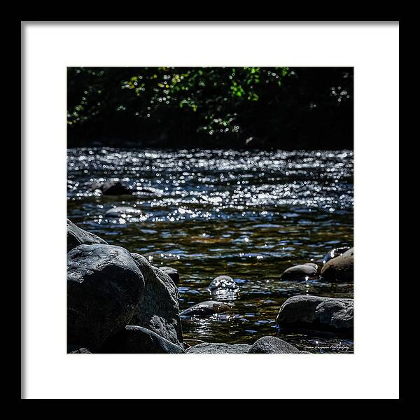 Water ways - Framed Print