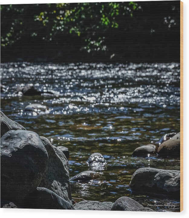 Water ways - Wood Print