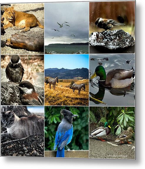 Wild life - Metal Print