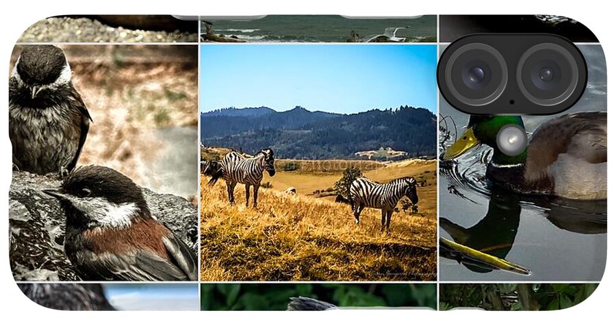Wild life - Phone Case