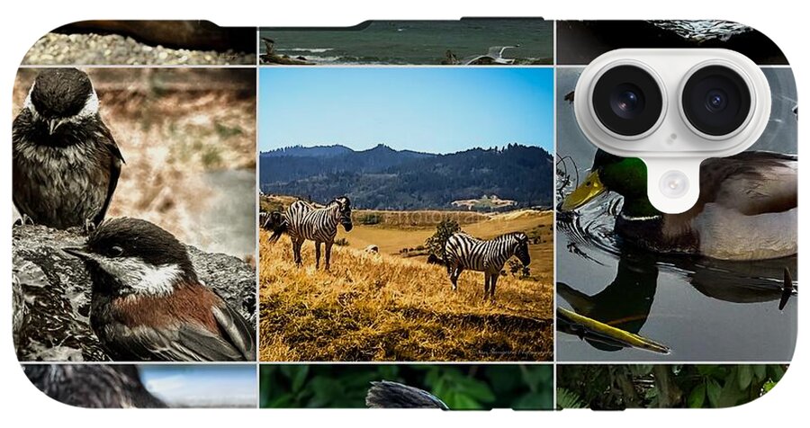 Wild life - Phone Case