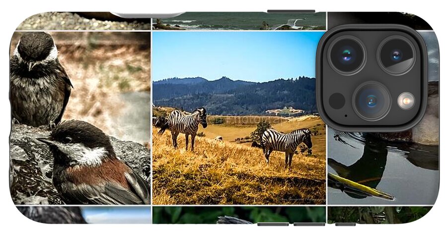 Wild life - Phone Case