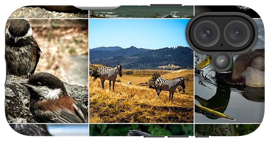 Wild life - Phone Case