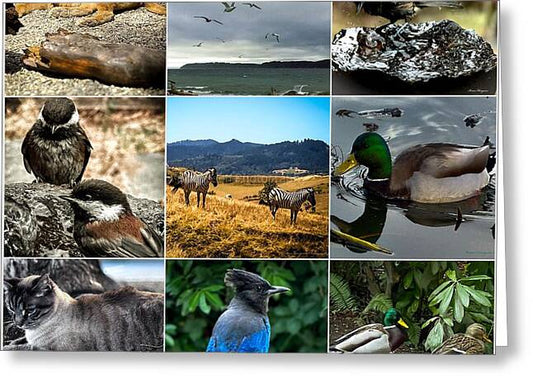 Wild life - Greeting Card