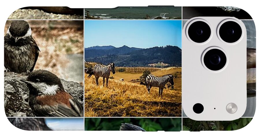 Wild life - Phone Case