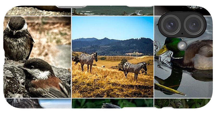 Wild life - Phone Case