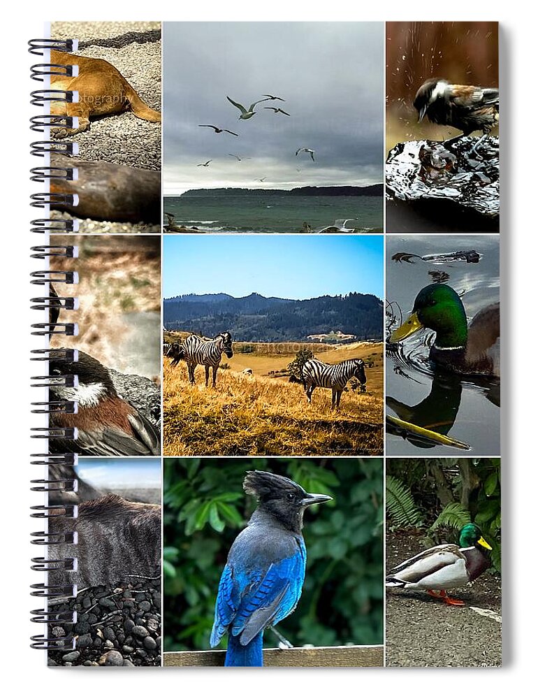 Wild life - Spiral Notebook