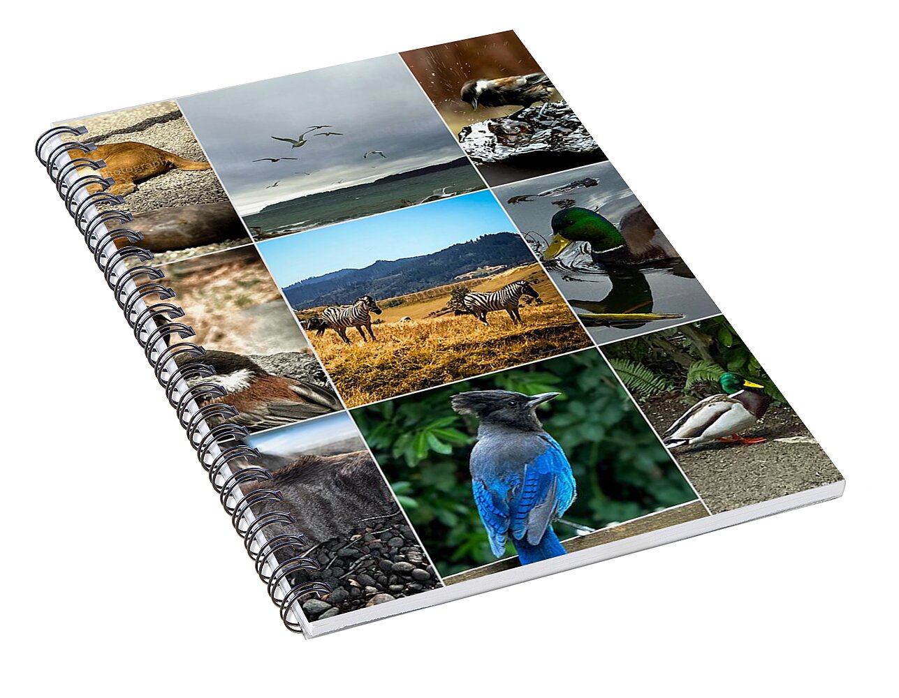 Wild life - Spiral Notebook