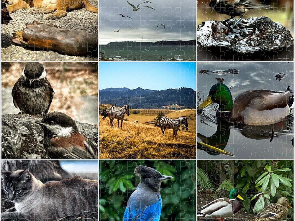 Wild life - Puzzle