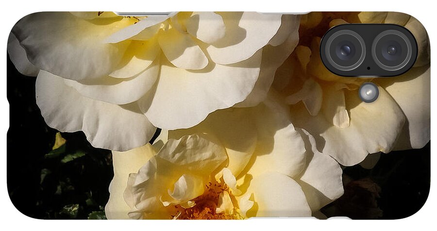 Yellow bloom - Phone Case