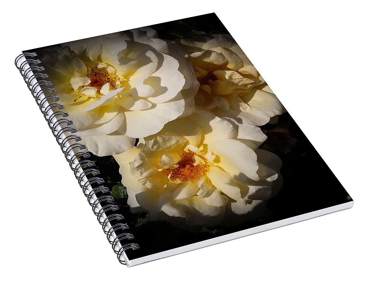 Yellow bloom - Spiral Notebook