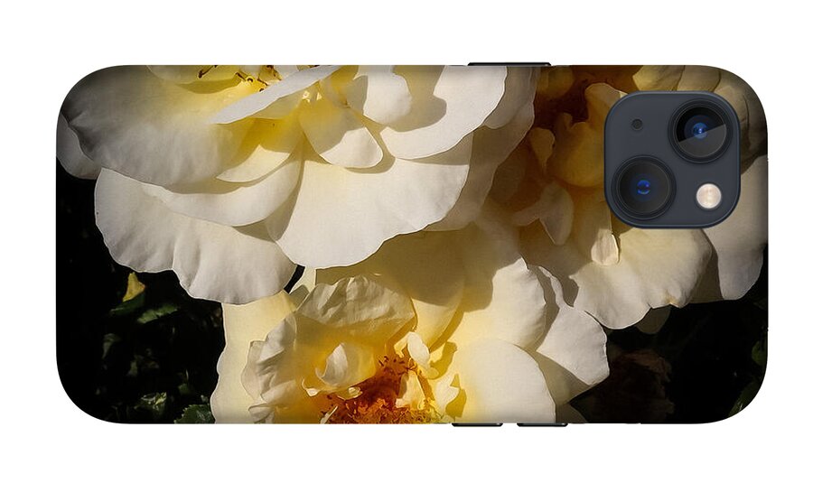 Yellow bloom - Phone Case