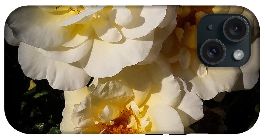 Yellow bloom - Phone Case