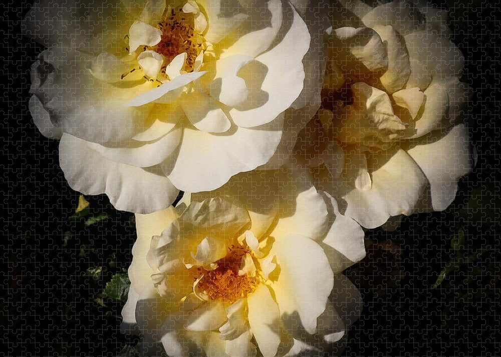 Yellow bloom - Puzzle