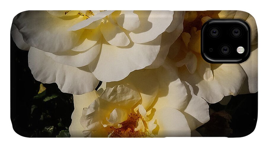 Yellow bloom - Phone Case