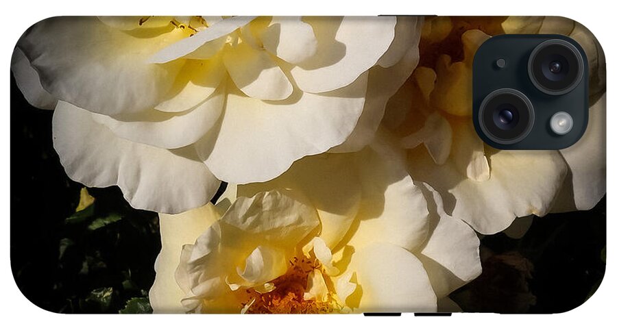 Yellow bloom - Phone Case