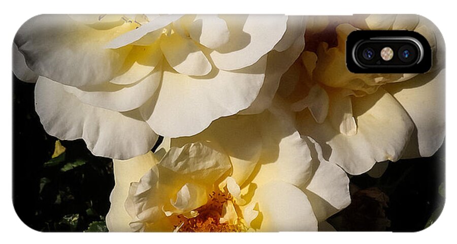Yellow bloom - Phone Case