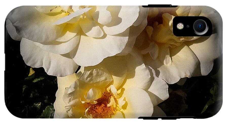 Yellow bloom - Phone Case