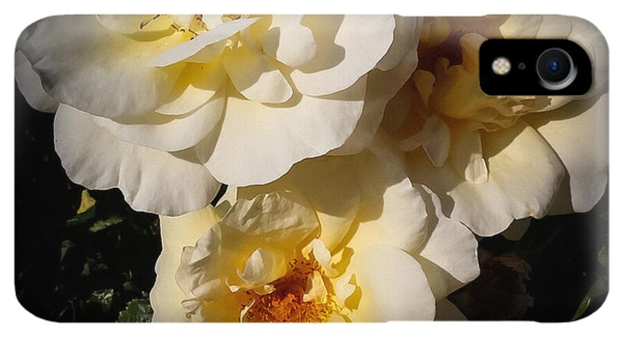 Yellow bloom - Phone Case