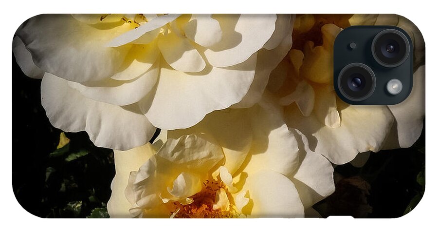 Yellow bloom - Phone Case