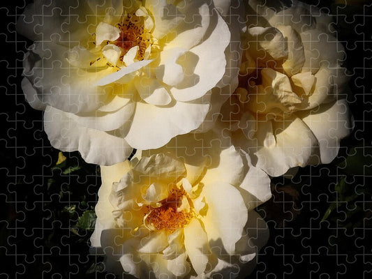 Yellow bloom - Puzzle