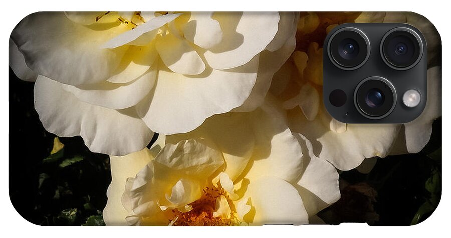 Yellow bloom - Phone Case