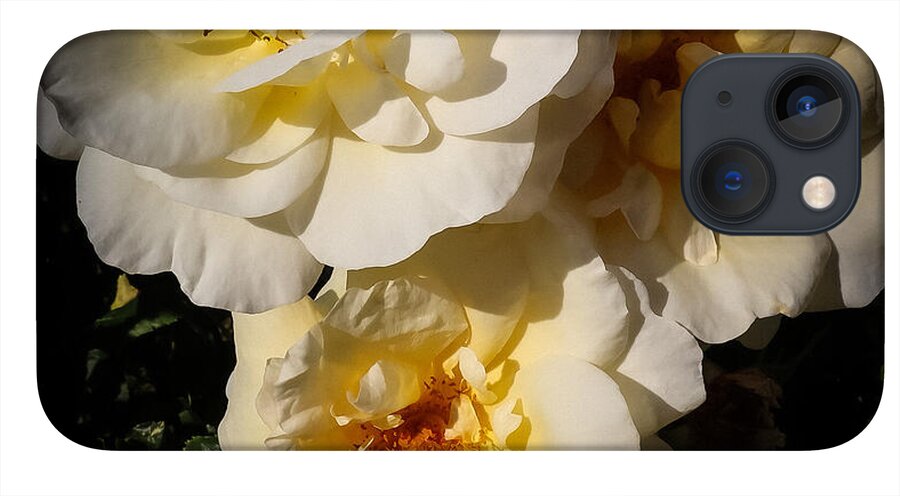 Yellow bloom - Phone Case