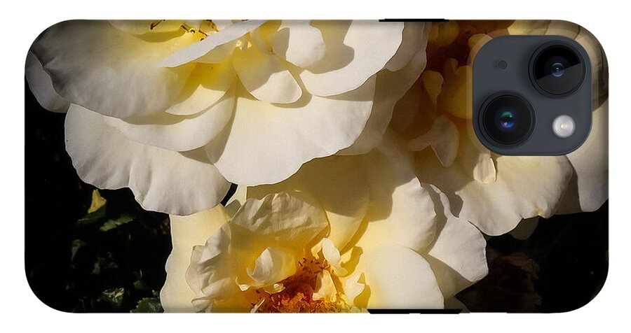Yellow bloom - Phone Case