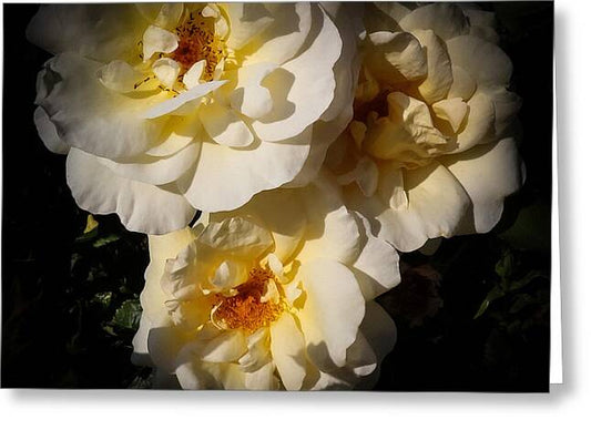 Yellow bloom - Greeting Card