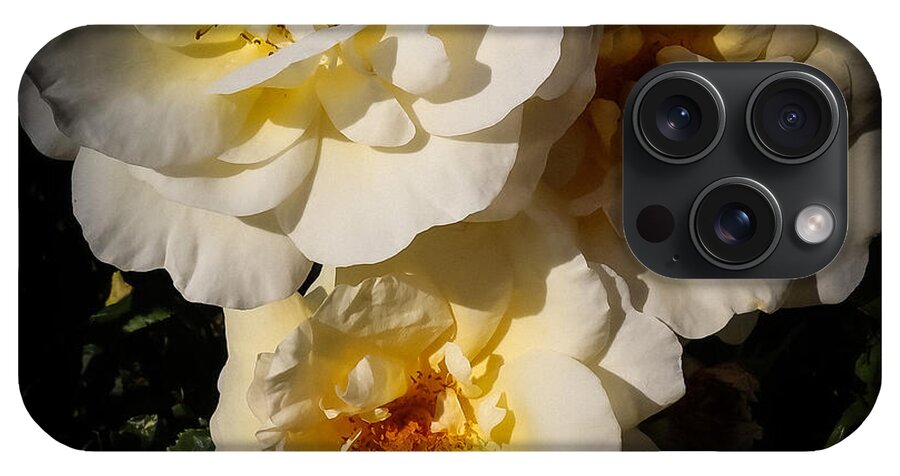 Yellow bloom - Phone Case