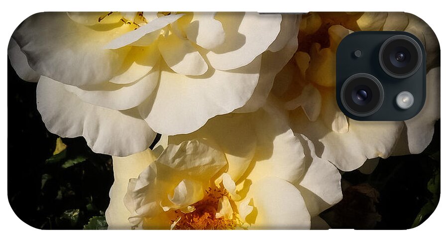 Yellow bloom - Phone Case