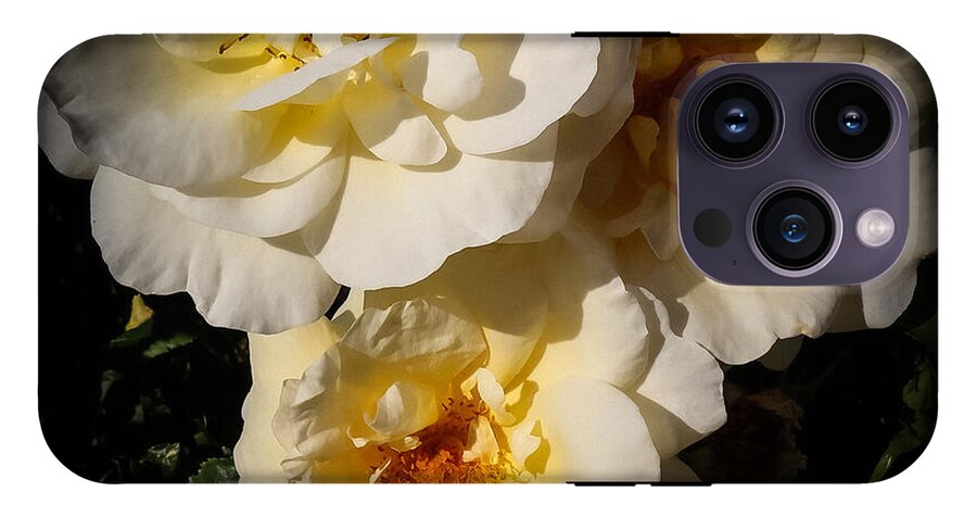 Yellow bloom - Phone Case