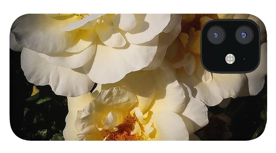 Yellow bloom - Phone Case