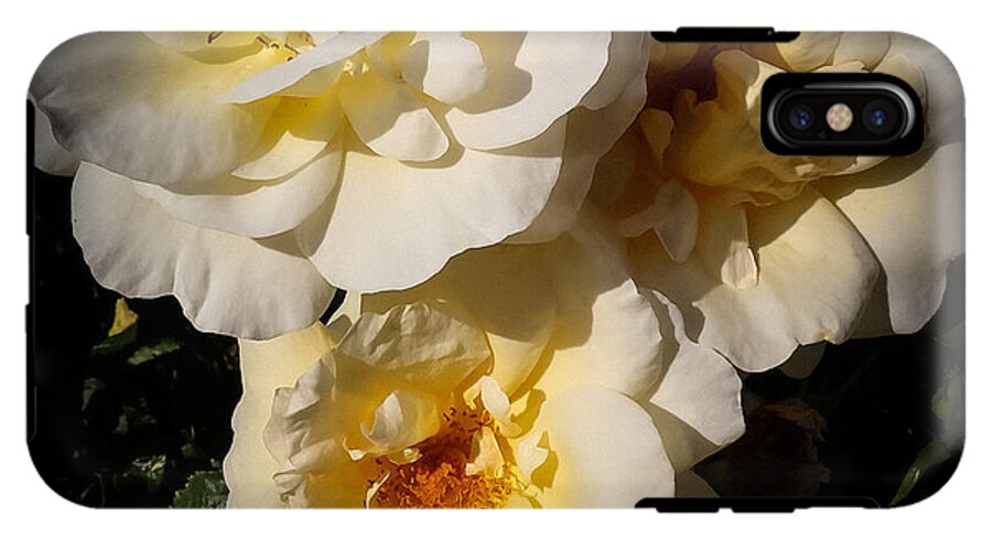 Yellow bloom - Phone Case