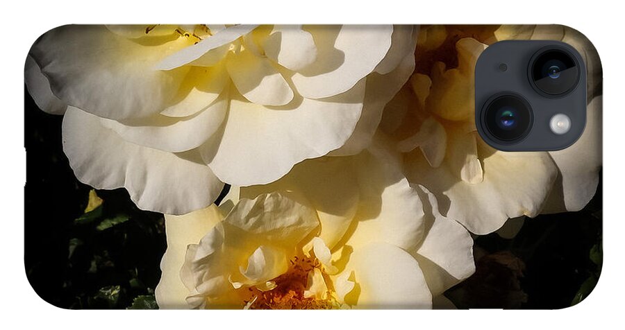 Yellow bloom - Phone Case