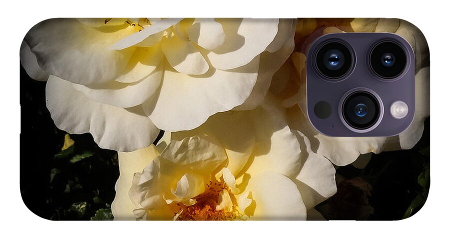 Yellow bloom - Phone Case