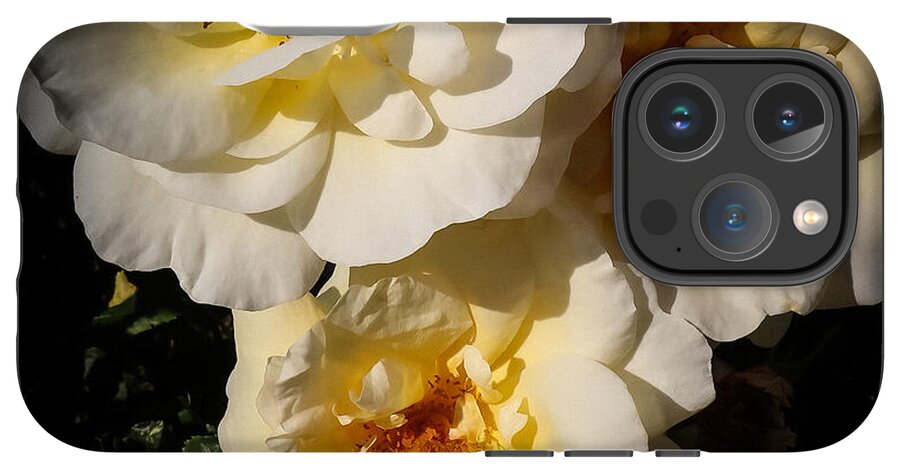 Yellow bloom - Phone Case