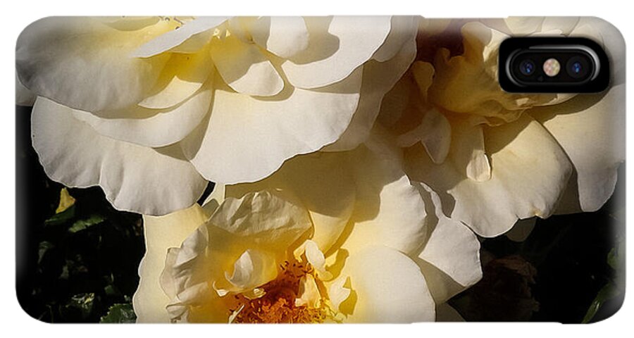 Yellow bloom - Phone Case