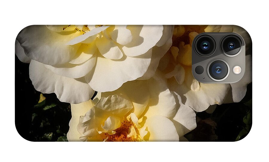 Yellow bloom - Phone Case