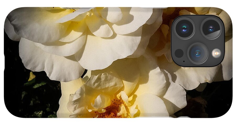 Yellow bloom - Phone Case