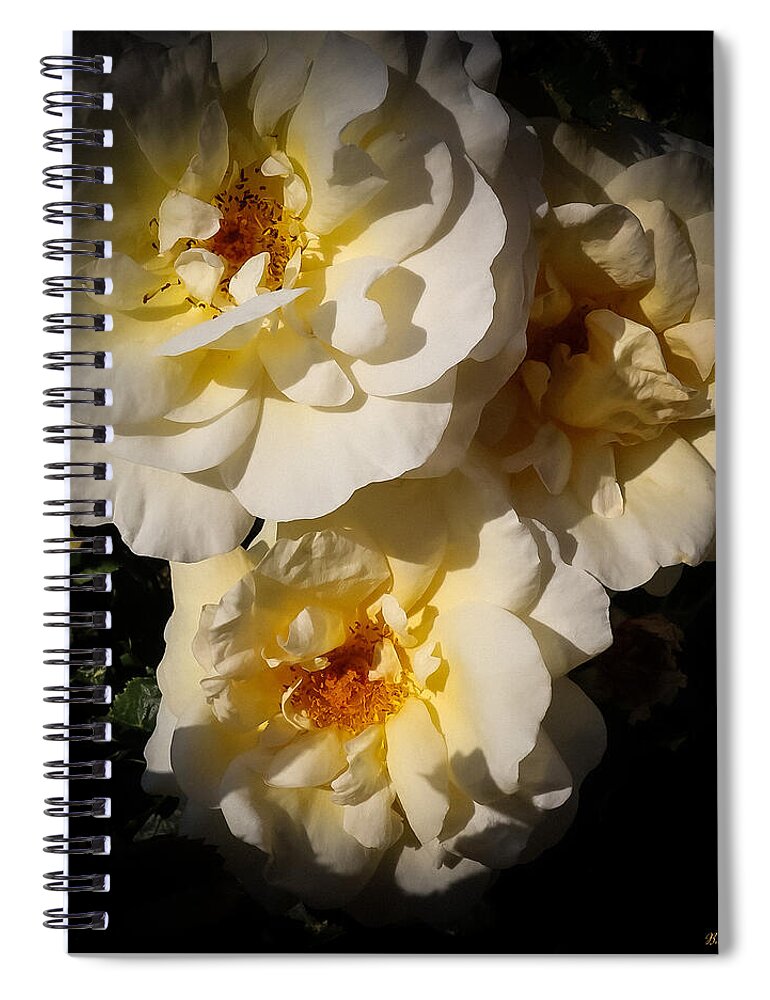 Yellow bloom - Spiral Notebook