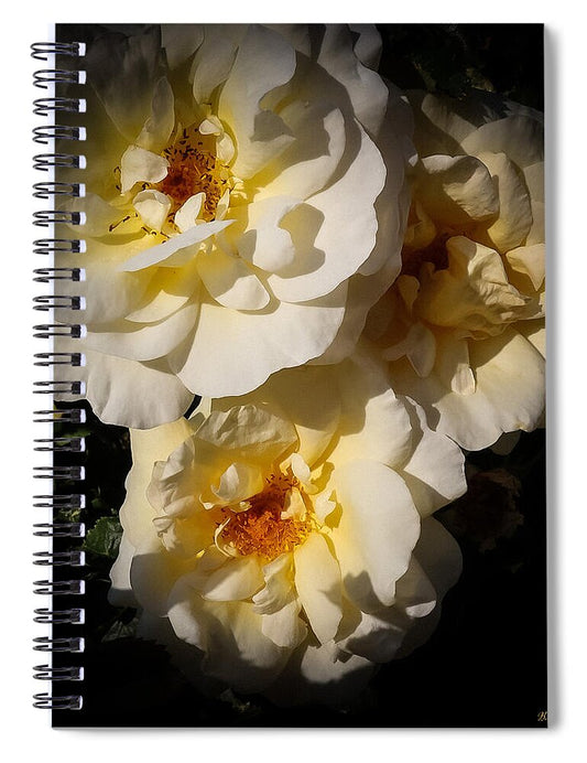 Yellow bloom - Spiral Notebook