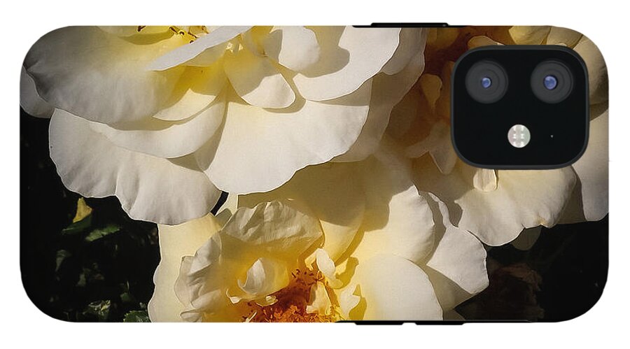 Yellow bloom - Phone Case