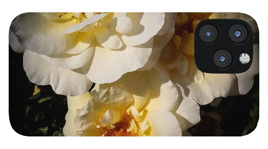 Yellow bloom - Phone Case