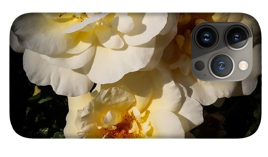 Yellow bloom - Phone Case