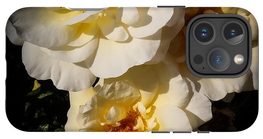 Yellow bloom - Phone Case