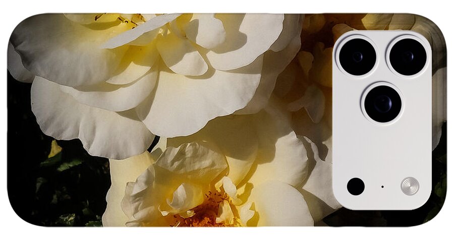 Yellow bloom - Phone Case