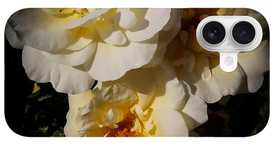 Yellow bloom - Phone Case