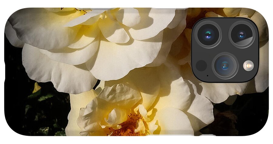 Yellow bloom - Phone Case