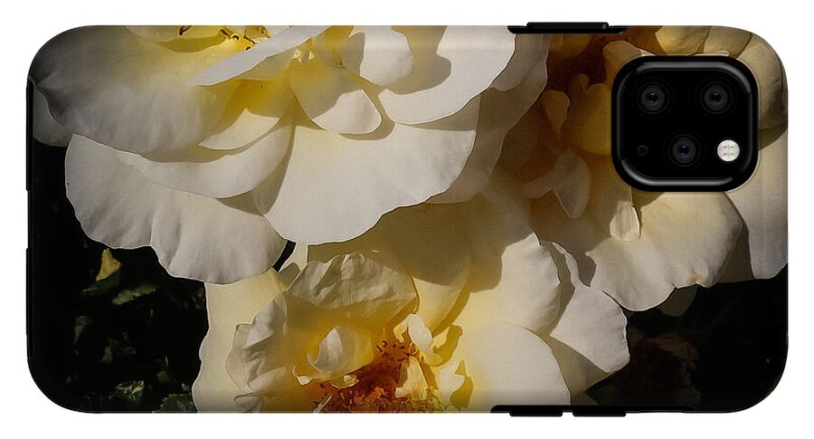 Yellow bloom - Phone Case